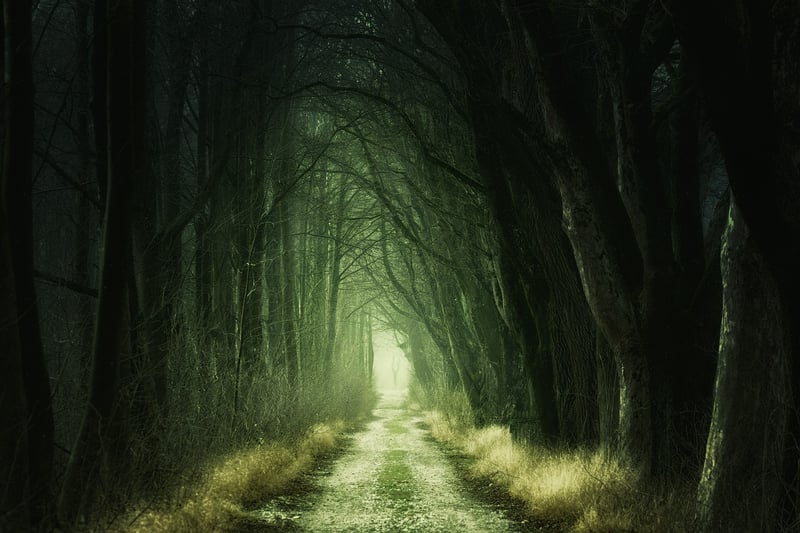 Enchanting Melodies